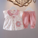益淘2024新款女童洋气女宝宝夏装两件套装0-1-2-34岁婴儿纯棉夏天衣服 粉红色 90cm