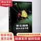常见蜘蛛野外识别手册(第2版) 图书
