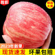 红富士苹果甘肃富士苹果2022年现摘新果水果生鲜时令苹果带箱礼盒 净重4.5-5斤【75mm起】