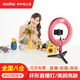 神牛（Godox） 神牛环形补光灯直播美颜灯双色温人像摄影灯拍照化妆亮肤主播室内自拍灯LR180 粉色LR180+支架 标配