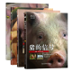 猪的信号 猪瘟防治技术猪病学 科学养猪猪瘟疫疾病诊断与防治书 猪场养殖书 养猪技术书籍大全 母猪的信号仔猪养殖技术 母猪健康管理 猪育肥技术 （全套四册）仔猪+育肥猪+猪+母猪的信号