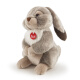 TRUDI野兔Lino兔子毛绒玩具公仔兔兔玩偶生日礼物情人节礼物送女友27cm