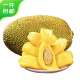 农锦鲜海南菠萝蜜一个装25-30斤新鲜水果当季特产源头直发包邮