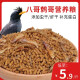 花卷宝宝鸟粮八哥饲料鸟饲料营养鹩哥鸟食海八黑八专用八哥粮鸟料八哥饲料 5斤