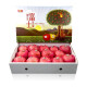 都乐Dole 烟台红富士苹果 特级铂金果4kg礼盒装 单果重250g起