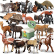 MECHILE仿真动物模型玩具套装儿童野生动物园认知大象老虎六一儿童节礼物 陆地动物22件套装
