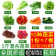 绿食者 新鲜蔬菜沙拉组合3斤 西餐色拉沙拉生菜轻食健身食材配菜