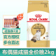 ROYAL CANIN皇家猫粮英短猫粮成猫粮全价猫粮通用粮 RA32布偶猫成猫猫粮2kg