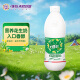 唯怡（viee）植物蛋白饮品富含花生坚果大瓶饮料960ml*1瓶比豆奶更香浓