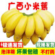 帆儿庄园新鲜广西小香蕉水果小米蕉蕉新鲜水果整箱当季鲜苹果蕉自然熟粉蕉 2.5kg