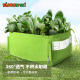 Bloombagz长方形种植袋软花盆 阳台种菜神器家庭花槽种菜箱种植箱 16L果绿