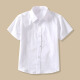 丰灵鸟男童短袖白色衬衫中大儿童夏薄款白衬衣表演服学生纯棉校服女 尖领无口袋短袖 160cm