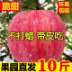 烟台苹果栖霞红富士水果10斤山东新鲜甜脆吃的5斤当季整箱 9.5斤 65mm-75mm