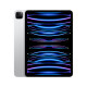 Apple iPad Pro  2024年 11英寸  苹果平板电脑 老款 11英寸 M2芯片 银色 蜂窝版 256G