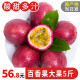 广西百香果 新鲜水果生鲜 精选5斤【大果】单果50-100g