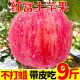 陕西新鲜红苹果整箱 应当季时令水果生鲜 带箱10斤脆甜酸红富士苹果生鲜