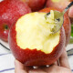 于小乖 陕西秦冠粉面沙甜的新鲜水果老人婴儿刮泥苹果(粉面需放置几天） 带箱9.5-10斤精选大果