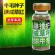 异景园鱼缸装饰水草 前景活体造景 迷你真水草小对叶草皮牛毛毡 迷你牛毛毡约20g/瓶