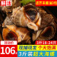 尚致【活鲜】青岛鲜活海捕大海螺1500g大海螺肉大中号海螺生鲜贝类 大海螺3斤 1500g （18-24只）