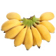 （拍2份2斤发5斤）广西小米蕉 新鲜香蕉现砍青果小香蕉甜蕉当季水果 2斤装尝鲜（力荐买2份合发5斤）