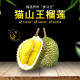 马来西亚猫山王榴莲 新鲜水果液氮冷冻保鲜带壳榴莲D197整个 3斤-3.6斤（保四房肉 嫩滑丝质）