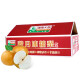 京鲜生 青青大地莱阳羊脂秋月梨4.5斤 6-9个梨子礼盒 水果