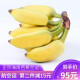 【顺丰速运】正宗海南芭蕉2.5kg新鲜水果5斤净重 小米蕉