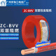 环市广州珠江电线电缆国标纯铜芯ZC-BVV双塑双皮单股阻燃硬线100米 ZC-BVV4平方（红色）