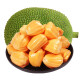 红肉菠萝蜜 菠萝蜜 新鲜水果越南红心波罗蜜热带特色水果大树干苞菠萝蜜一整个 红肉波萝蜜整个10-12斤