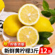 四川安岳黄柠檬 莫吉托 新鲜柠檬水果 安岳黄柠檬3斤