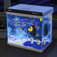 森森超白玻璃桌面小鱼缸免换水XHE480升级款48cm长带过滤免安装金鱼缸