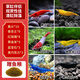 卡奇鱼 观赏虾 活体观赏鱼 米虾 工具清洁虾宠物虾黑壳虾除丝藻褐藻青苔 观赏虾新手套餐A