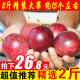 纯香果 广西百香果 生鲜优选 新鲜水果 精选2斤【大果】