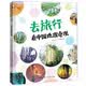 恐龙小Q 去旅行-看中国地理奇观（彩绘奇观，给孩子妙趣横生的地理启蒙！精装科普大开本，适合6-1 