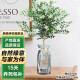 泰西丝水培植物盆栽绿植花卉 九里香1棵+18贴纸玻璃花瓶（颜色随机）