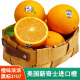 美国进口新奇士3107黑标脐橙Sunkist进口橙子甜橙单果约200克 10个大果