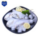 鲜到鲜得 冷冻东海银鲳鱼800g 平鱼 深海鱼 生鲜 鱼类 海鲜水产 烧烤食材
