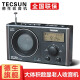 德生（Tecsun） CR-1100便携式立体声收音机老年人DSP调频调幅两波段数显半导体 标配（含电源适配器）