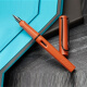 凌美（LAMY）钢笔2021限量款Safari狩猎墨水笔送吸墨器赤土色墨绿色学生练字笔日常商务送礼物 赤土色 F尖(0.7mm)