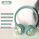 勒姆森（LASMEX）【德国】HB65 lasmex头戴式耳机时尚数码穿搭拍照折叠无线蓝牙耳机立体声HiFi耳麦可连线内置麦克 绿色（以实物为准）
