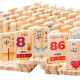 木制积木100粒汉字多米诺骨牌儿童动手动脑智力玩具1-2-3-6周岁宝宝数字识字 100片双面数字汉字多米诺
