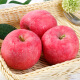 柏果瑞甘肃静宁苹果 红富士苹果水果生鲜 时令苹果水果礼盒 带箱10斤装果径70-75mm儿童果