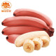 红美人蕉 新鲜香蕉 红皮香蕉 现摘5斤装 应季水果 净重约5斤