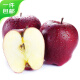 京鲜生 甘肃天水花牛苹果 4.5-5斤装单果100-150g 水果 源头直发 包邮