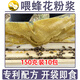 百朵千丛品牌蜂蜜花粉浆油菜花粉蜜蜂饲料快速繁蜂诱蜂箱蜂蜡巢础养蜂用具 150克花粉浆*10包
