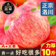 鲜总管正宗陕西洛川红富士苹果脆甜苹果水果新鲜时令水果苹果礼盒送礼 净9斤80-85mm 大果