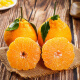 新鲜丑橘蜜橘当季水果整箱耙耙砂糖柑橘蜜桔子橘子 8斤装 精选