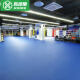 新绿里（SIGREENY）健身房地胶垫室内商用地胶幼儿园舞蹈室pvc运动地板多功能地胶