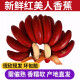 良知农哥 新鲜美人蕉 红皮香蕉 5斤（需催熟，冬天比较小，夏天比较大哦）