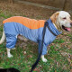 SLPC狗狗衣服冬天保暖加厚四脚棉衣中大型犬拉布拉多萨摩金毛宠物服饰 雾霾蓝 30号（适合约76到95斤）